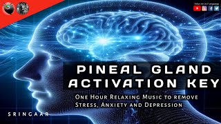 Pineal Gland Activation Key  One Hour Relaxing Music to remove Stress Anxiety and Depression [upl. by Aivle880]