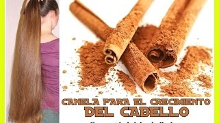 CANELA para el crecimiento del cabello y sus beneficios [upl. by Ellainad481]