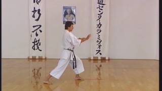 Shotokan  Kanku Sho [upl. by Ahsekahs838]