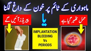 Implantation Bleeding Vs Periods Early Symptoms of Pregnancy in Urdu First Week Pregnancy Symptoms [upl. by Kondon724]