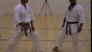 Takagi Arakawa Wado Kai Kihon Kumite 7 [upl. by Derzon]