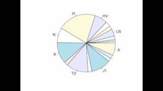 Changing mtDNA haplogroup frequencies through European prehistory [upl. by Ravi]