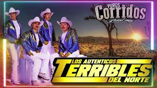 LOS TERRIBLES DEL NORTE 🎬 EXITOS CORRIDOS SOLO PARA BORRACHOS [upl. by Nasas875]