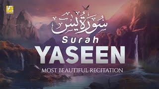 Most Beautiful amp Peaceful Recitation of Surah Yasin Yaseen سورة يس  Zikrullah TV [upl. by Travers]