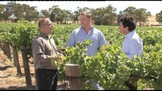 Penfolds Bin 707 2006 with Chief Wine Maker Peter Gago [upl. by Hirasuna]