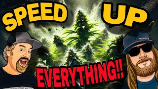 Why Are Enzymes ESSENTIAL for Growing TopQuality Cannabis at Home [upl. by Hgiel]