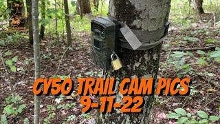 CY50 Trail Cam Pics from 91122 [upl. by Sinnek467]