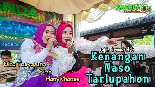 KENANGAN NASO TARLUPAHON  HANY CHANSS FEAT ELINA TASYAPUTRI  LAGU TAPSEL [upl. by Sparrow458]