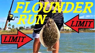 FLOUNDER FISHING BOLIVAR AND 2ND STREET IN SEABROOK  COLAB WITH 12 GAUGE FISHIN  FLOUNDER LIMIT [upl. by Ullyot]