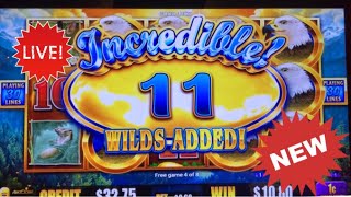 First Look Wild Texacoins Slot Birds of pay Slot over 100x win [upl. by Veradia]