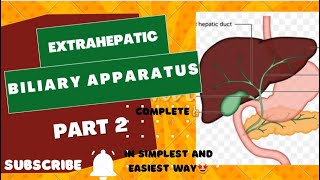 Extrahepatic biliary apparatus  Part 2  complete ayeshamedicaleducation [upl. by Niamrej472]