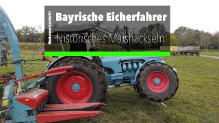 Eicher  Historisches Maishäckseln am HauslerHof  Mammut EA 600  Mammut ED 310  Königstiger  GT [upl. by Donoghue452]