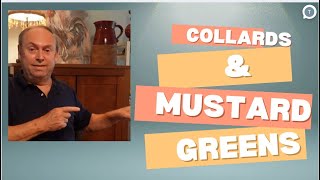 Collards amp Mustard Greens [upl. by Eelame]