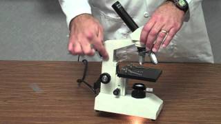 How to Use a Microscope [upl. by Ahser546]