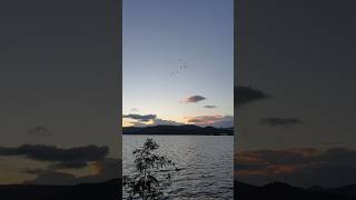 Khadakwasla dam evening khadakwasladam pune birds punecity travel travelvlog [upl. by Ylremik]