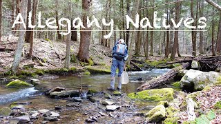 Allegany Natives  Fishing in Allegany State Park [upl. by Brig]