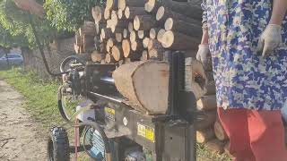 Firewood Splitter 25ton Wood cutting machine horizontal [upl. by Estren985]