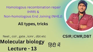 dna repair mechanism  Homologous Recombination repair  Non homologous End Joining Repair [upl. by Gnoc]