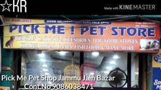 PICK ME PET SHOP JAMMU  DOGS  LOVE BIRDS  PARROTS  FISH  BIRDS Jain Bazar  ContNo9086038471 [upl. by Eugor]