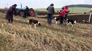 FVAMC Ploughing Match 1 2024 [upl. by Nobe]