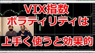 VIX指数＝恐怖指数 ボラティリティは上手く使うと効果的！【チャート解説】 [upl. by Ahsirkal]