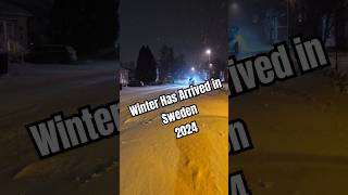 Winter Has Arrived in Sweden 2024 swedishevents norrbotten piteå Swedishwinter Shorts [upl. by Accire]