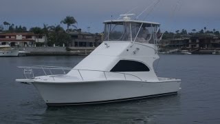 Luhrs 34 Convertible in the Marina Video by South Mountain Yachts 949 8422344 [upl. by Raouf]