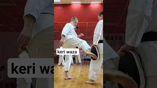 Different types of Mae geri and Mawashi Geri Dormenko Andrey sensei karate martialarts [upl. by Aoniak417]