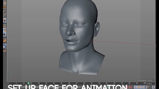 HOW TO quotRIGquot FACE USING POSE MORPH TAG  IN 30 MINUTES [upl. by Tsan424]