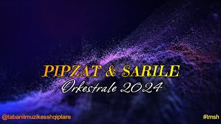 MARSEL MUZIKANTI  PIPZAT amp SARILE  2024  ORKESTRALE POPULLORE sarile [upl. by Lyman]