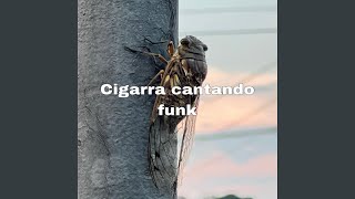 Cigarra Cantando Funk [upl. by Cressi]