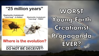 Debunking BAD Young Earth Creationist Propaganda [upl. by Grieve975]