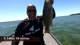 Giant Smallmouth Fox Island Cape Vincent NY [upl. by Mayap888]