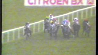 1989  Newmarket  Free Handicap  Danehill [upl. by Rehm229]