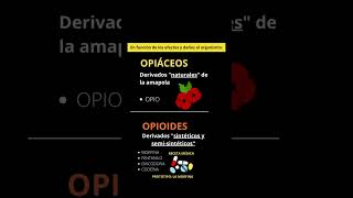 ¿Qué son los opiáceos y los opioides Parte2 🤔🚩 [upl. by Faus612]