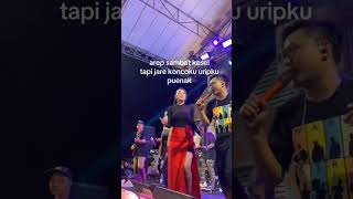 Viral story wa 12 Difarina indra live perfome video dangdutkoplo adella difarinaindra [upl. by Ashford845]