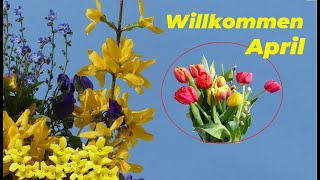 Willkommen April 🌞🎶 Grüße [upl. by Jabez]