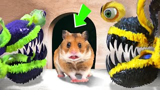 🐹 Big Monster Hamster Maze with Traps 😱Obstacle Course😱  BONUS 3  Awesome Hamster Escape [upl. by Annodahs]