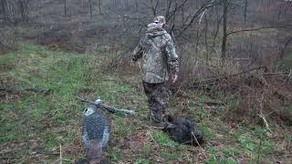 Wisconsin turkey hunting 2024 [upl. by Hsirahc]