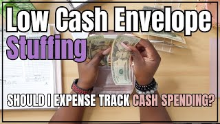 LOW CASH ENVELOPE STUFFING  DAILY ENVELOPES amp SAVINGS [upl. by Pyle935]