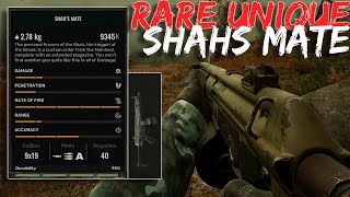 STALKER 2 How To Get POWERFUL UNIQUE “Shahs Mate” MP5 Viper 5Location [upl. by Brittnee]