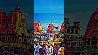 The Biggest Rath Yatra In The Entire World🔥 shortfeed  mostviral  jagannath  StoneStarYT [upl. by Adaminah]