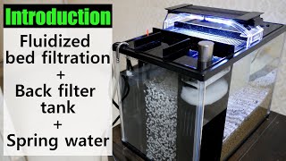 DIY Nano Aquarium  Fluidized bed and a backfiltering water tank [upl. by Katti774]