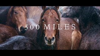 500 Miles  The Story of Ranchers and Horses 2017 [upl. by Arjan]