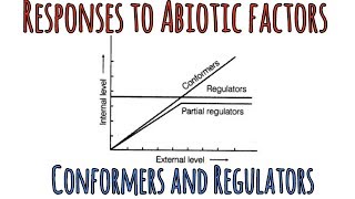 Responses to Abiotic factors Conformers and Regulators [upl. by Aklog]