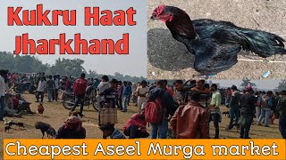 Recent Aseel Murga price update in India  Kukru Haat  Poradih Haat  Balarampur Haat Feko Haat [upl. by Blynn990]