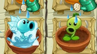 All Animation PEASHOOTER Plants In Zen Garden  Plants Vs Zombies 2 [upl. by Atiral]