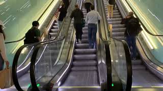 Arrivals Escalator at london heathrow airport travel [upl. by Tyrone474]