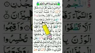 Surah Ar Rahman [upl. by Uase]