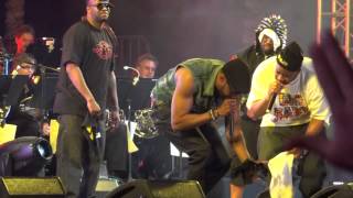 Wu Tang Clan  Tearz Live at Coachella [upl. by Nekial]